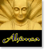 Post image for TM & the effect of “ahimsa” in the Yoga Sutra
